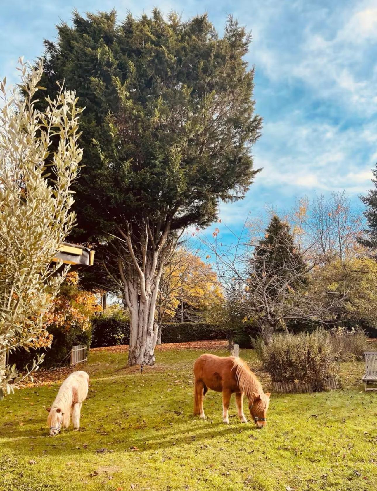 Cottage Normand Avec Sa Grande Piscine Chauffee Toute L Annee Sur Parc Arbore Et Clos En Plein Coeur De La Campagne Adapte Aux Kids Et Dog Friendly Saint-Antonin-de-Sommaire Exterior photo